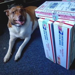 Your sale gets me a car ride!